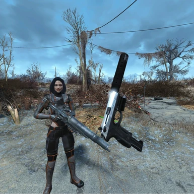 PX4 Storm in Fallout 4 VR