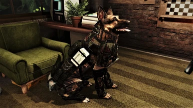 Dogmeat Armour 1