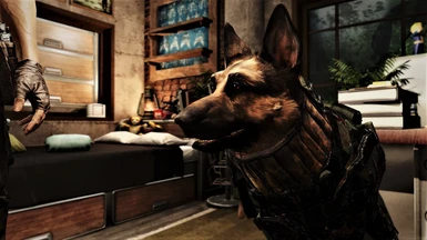Dogmeat Armour 2
