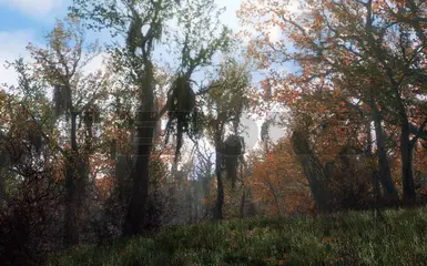 41