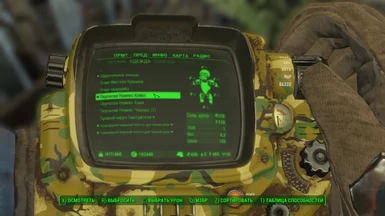 Example of translate in pip-boy menu the description of Nomex gloves 1
