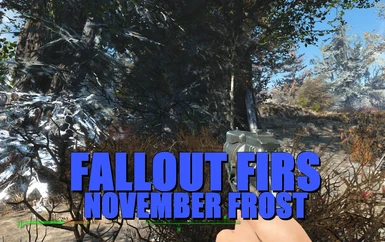fallout firs