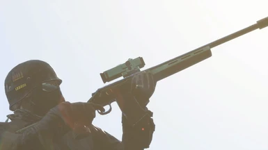Sniper Rifle 80-Scale