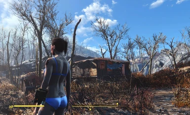 A Better Underwear Replacer Mod - CBBE at Fallout 4 Nexus - Mods and  community