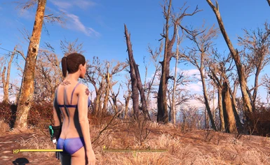 Sporty Underwear at Fallout 4 Nexus - Mods and community