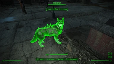 Armour with Dogmeat mod