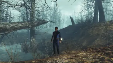 Far Harbor teleport.