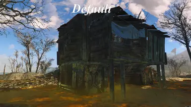 Shack Default