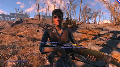 llamaCompanionHeather - Fr