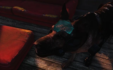 with Transdogrifier textures ... still my favorite Dogmeat replacer
