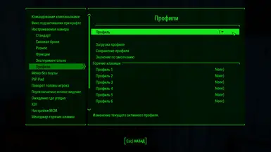 Custom Camera (RU) at Fallout 4 Nexus - Mods and community