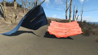 Tent and Diamond City Tarp