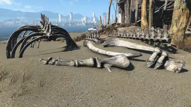 Whale Bones