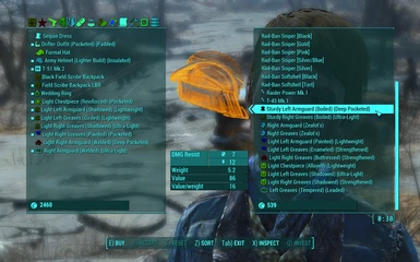 Carla selling armor with previously craft-only mods installed