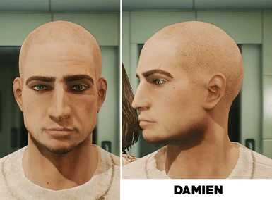 Femshepping's Male Presets