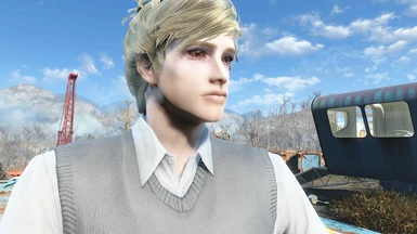 Taylor - Young Male Looksmenu Preset at Fallout 4 Nexus 