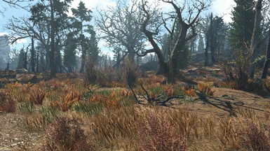 Boston Natural Surroundings at Fallout 4 Nexus - Mods and ...