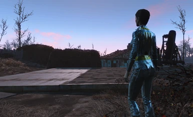 Vault Booty  Black Vaultsuit  and Sci-Fi Shiny 03