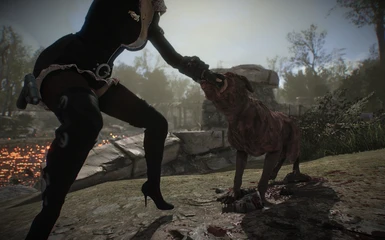 Dogs can grab player