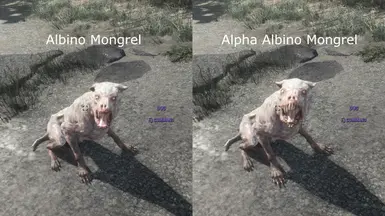 Albino Mongrels