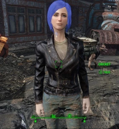 LooksMenu at Fallout 4 Nexus - Mods and community