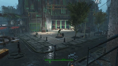 Diamond City Clean up Project