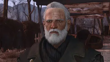 Fallout 4 Companion Face Mod