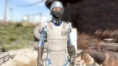 NWU with Vault Security Armor