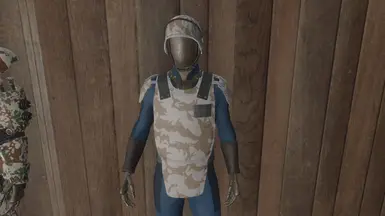 Desert DPM Armor