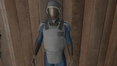 Grey Armor