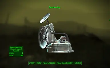 In-Game Item