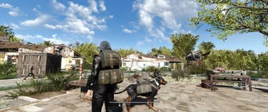 backpack2 - Dog Backpack not included in this mod