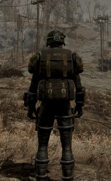 fallout 3 - NV inspired remnant (back)