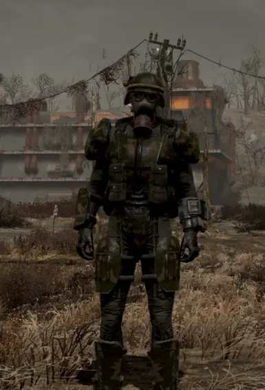 fallout 3 - NV inspired remnant (front)