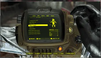 1st Person Pipboy Visibility Check