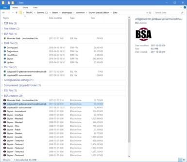 File Explorer - BSA