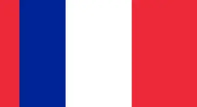 New French Flag at Fallout 4 Nexus - Mods and community