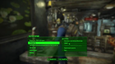 Example of translate in workbench menu the C.A.M.P. functions 1