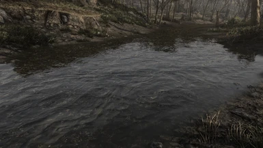 With ENB's water update