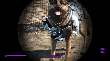 DogMeats_Armor_Textures