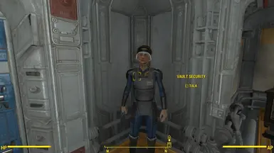 Vault security 