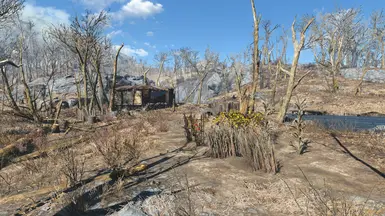 Bethesda / PRP Previs