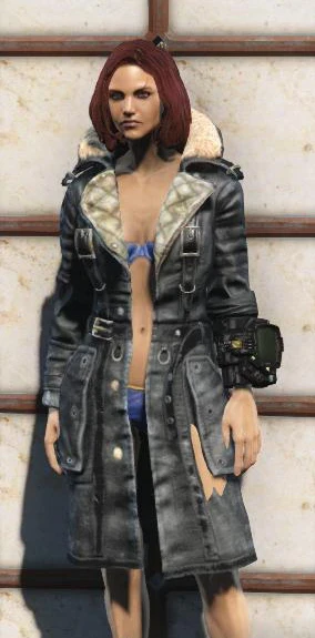 Jackets and Coats of the Commonwealth at Fallout 4 Nexus - Mods