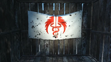 Medic Insignia Flag - Worn