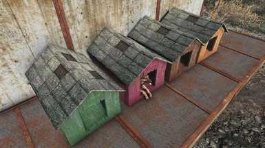 Wooden Roofs