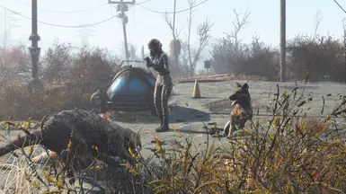 Fallout4 2015 11 29 21 40 06 00