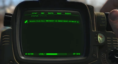 Effects shown in PipBoy