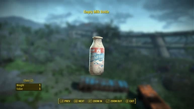Empty Milk Bottle