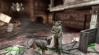 Fully Armed with Dogmeat