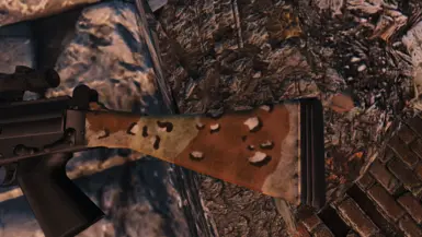 Choco Chip Stock